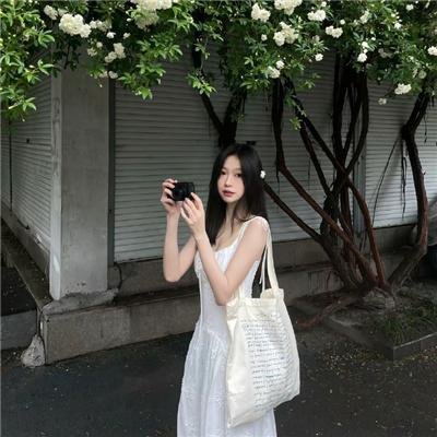 岁岁青莲
