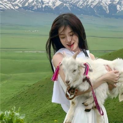 喜羊羊与灰太狼之异国破晓