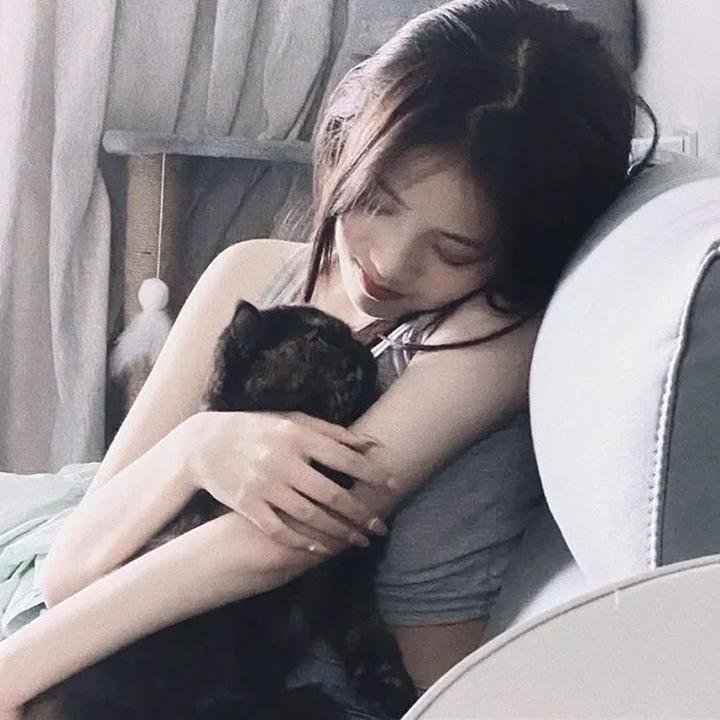 闪电狗